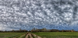 Novemberi mammás panoráma