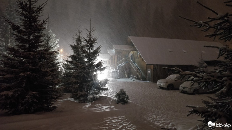 Észlelési fényképek