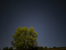 Perseidák