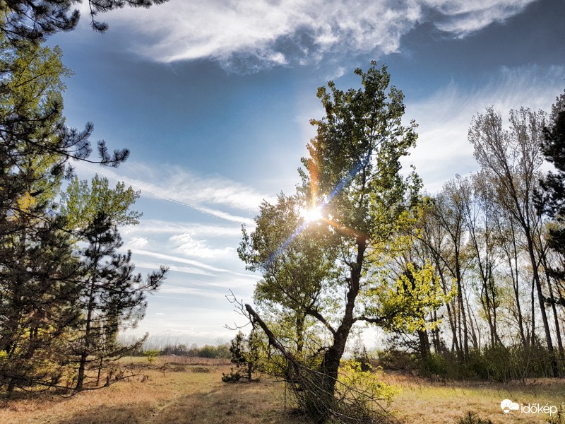 Kiskunsági Nemzeti Parkban 