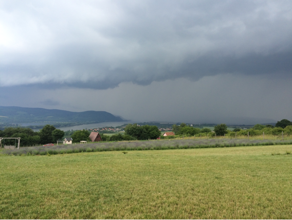 Észlelési fényképek