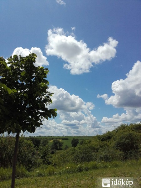 Észlelési fényképek