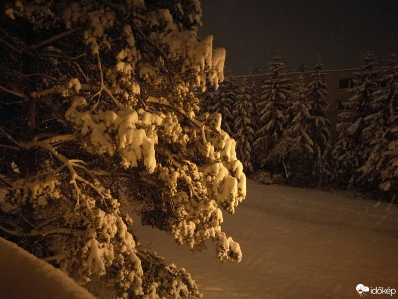 Észlelési fényképek