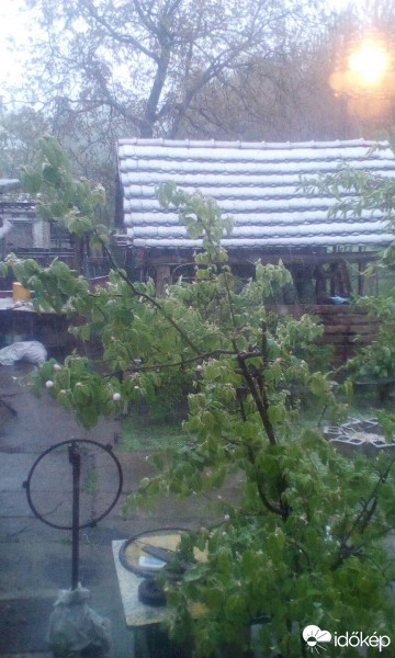 Észlelési fényképek