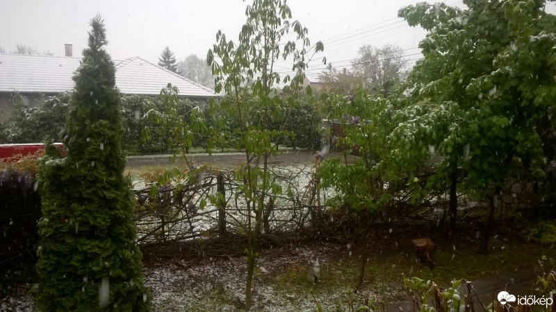 Észlelési fényképek