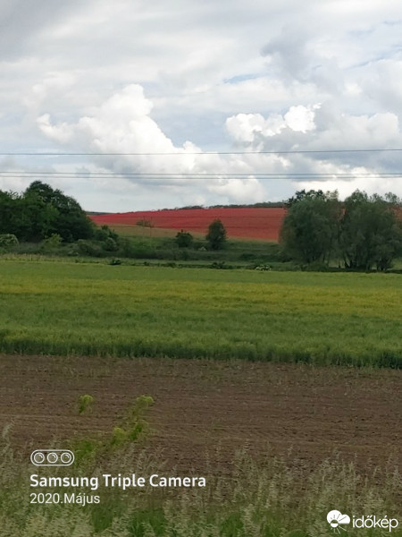 Észlelési fényképek