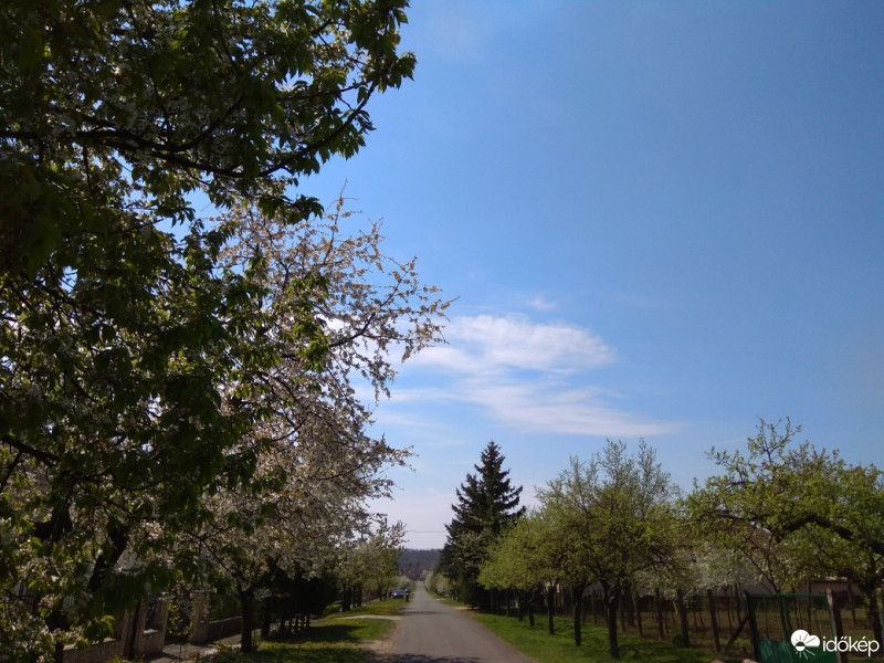 Észlelési fényképek