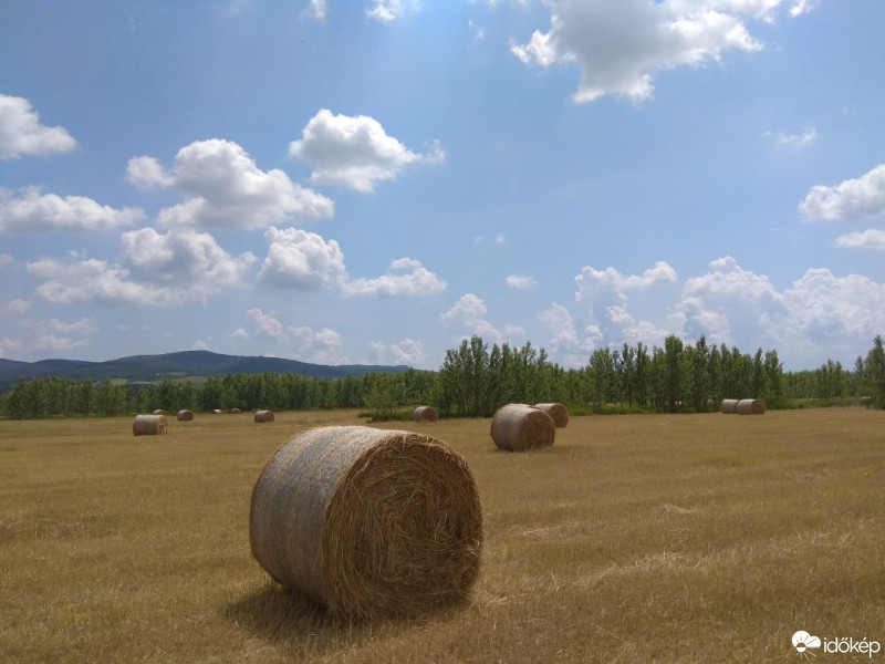 Észlelési fényképek