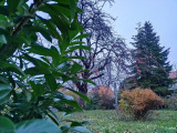 Sopron