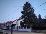 Sopron