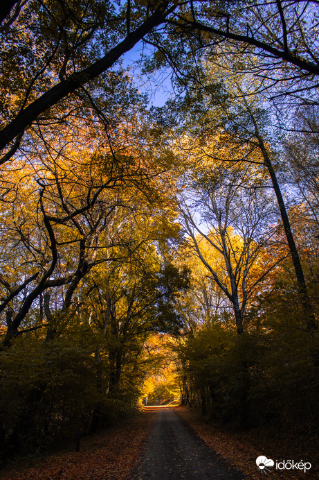 Út Füzér Várához