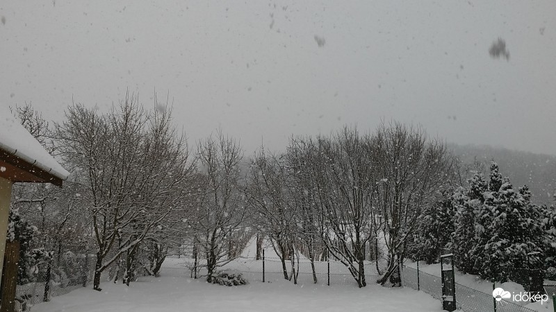 Észlelési fényképek