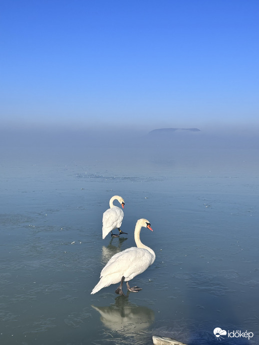 Az első versenyzők megérkeztek , éppen felkészülnek gyakorlatuk bemutatására 