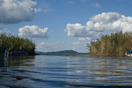 NyugtaTÓ