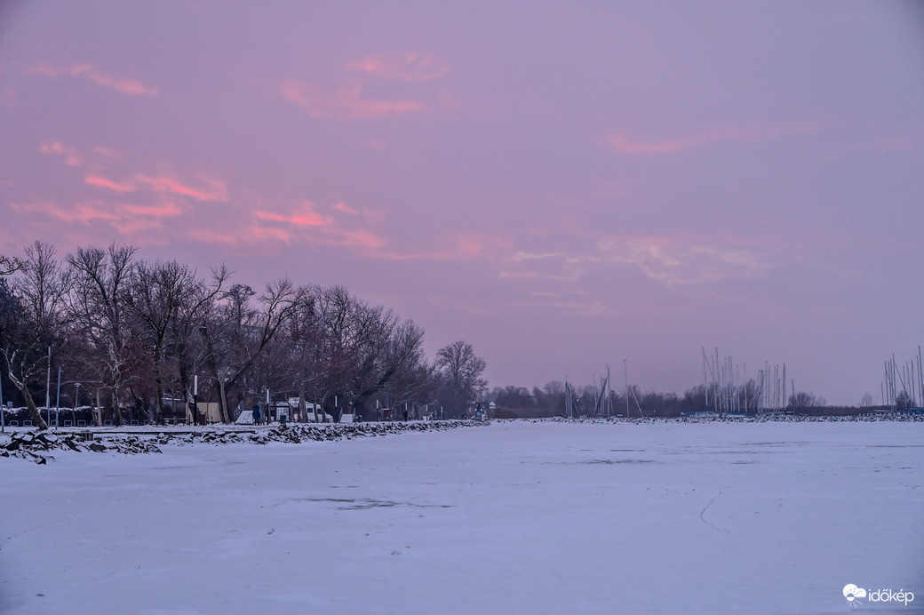 Rózsaszínű tárlat a jégen 