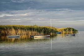 Festői reggel a parton 