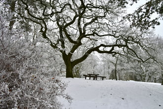 Zúzmarás ölelésben 