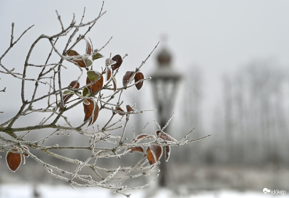 Fáradt színek , tompa kontrasztok 