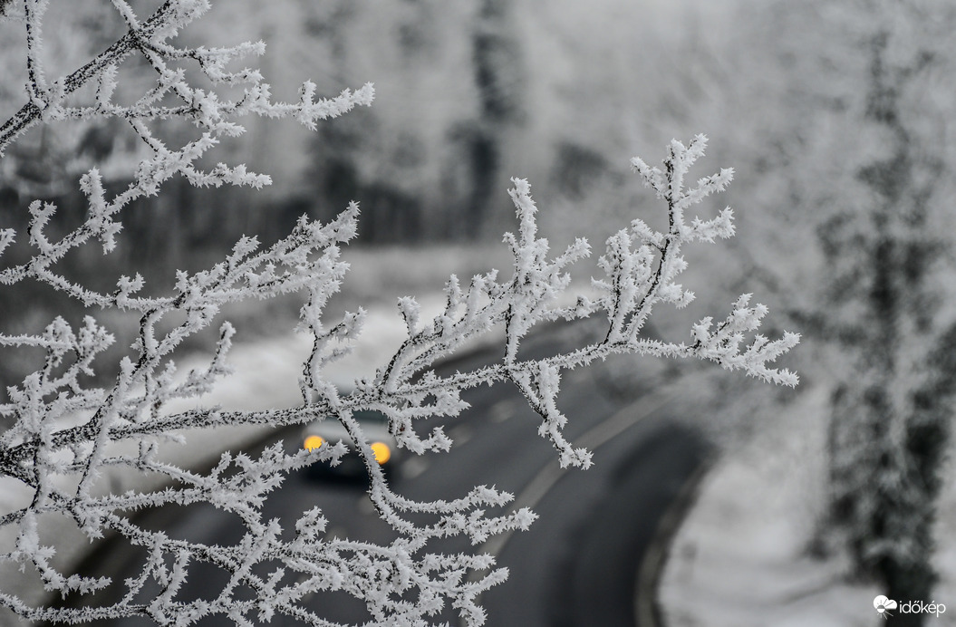 Aki bújt , aki nem jövök . Cseppnyi fèny a szürkeségben. 