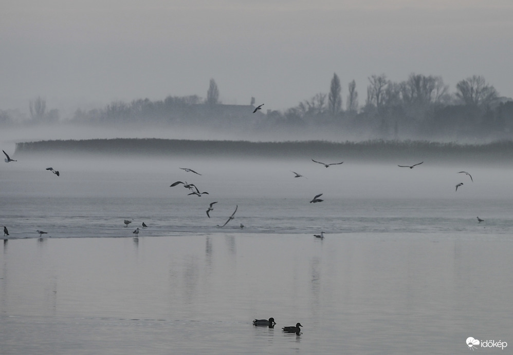 Ködös szárnyalás 