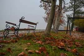 Ködre ébredtünk ma is…. 