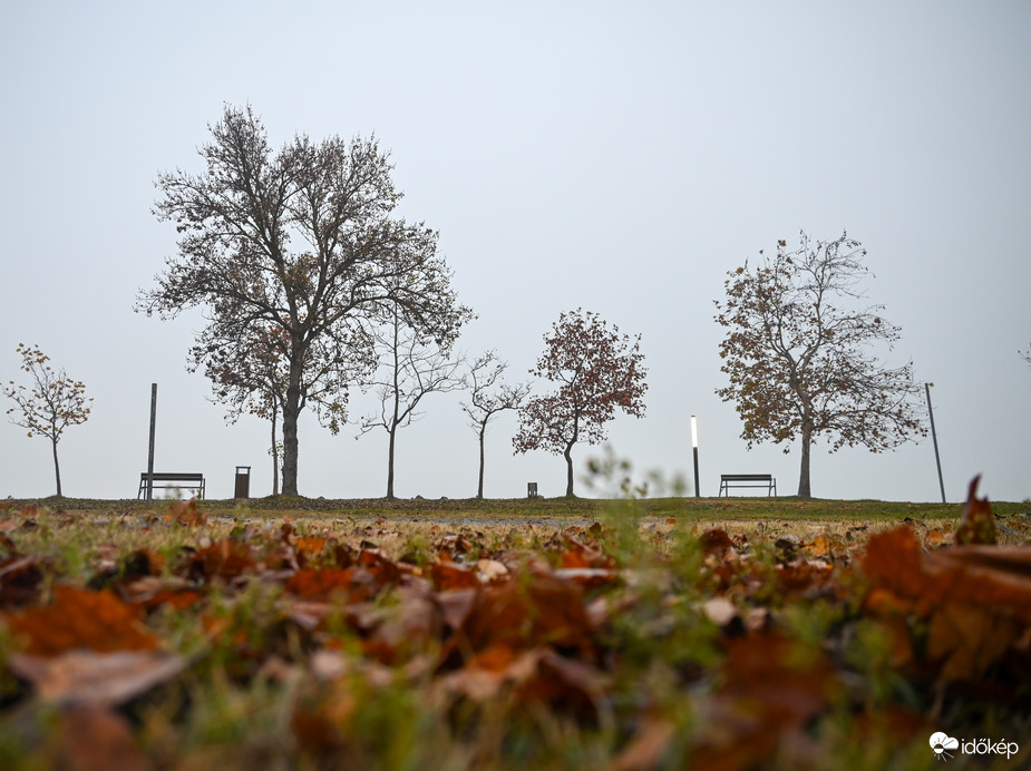 Ködre ébredtünk ma is…. 