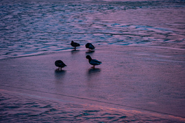 Kis huncutokat még elbírja a vékony jég 