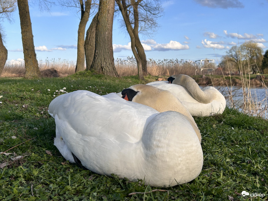 Hurrá , hétfő …