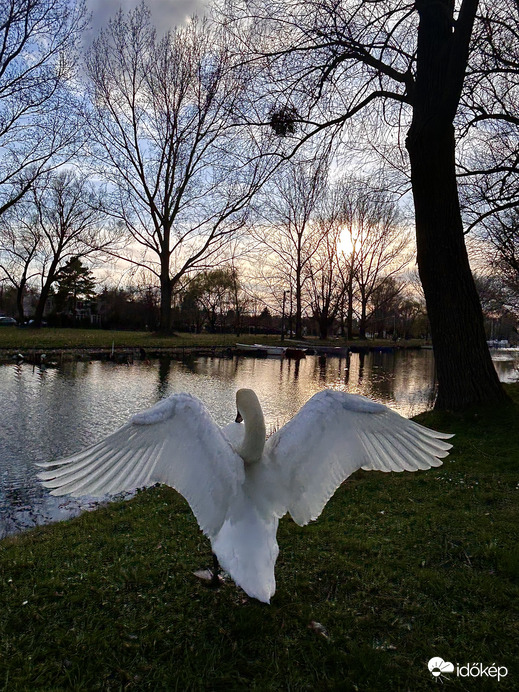 Hurrá , hétfő …