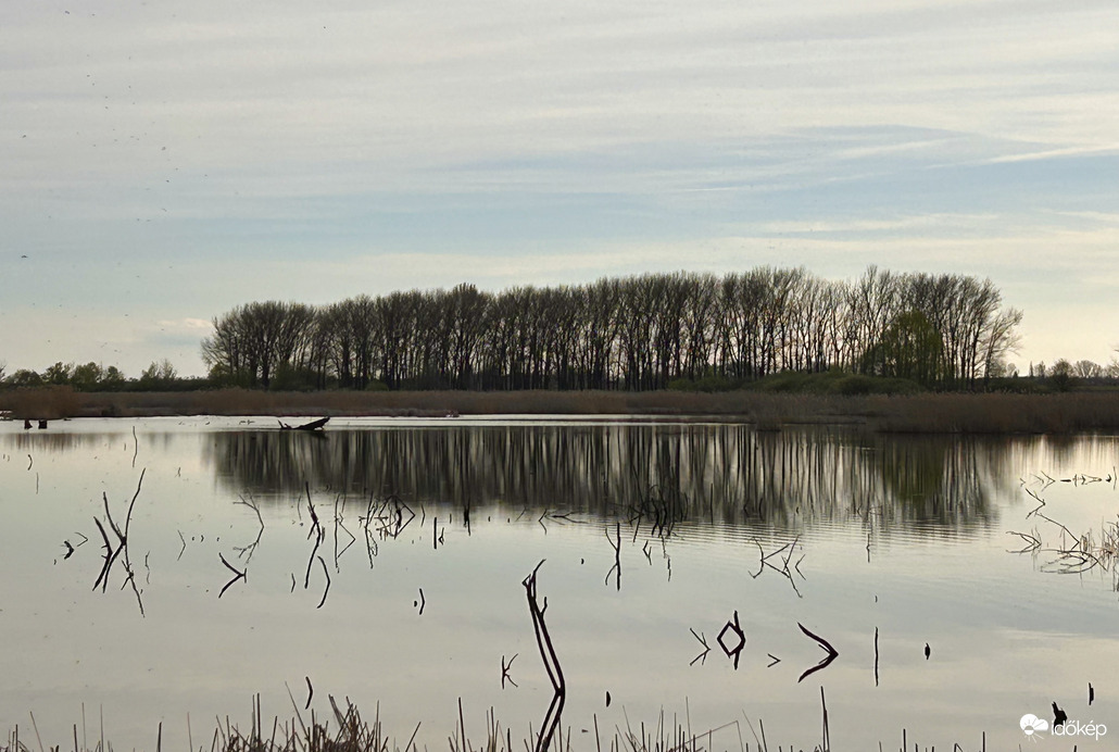 Tükör Fehérvizi láp 