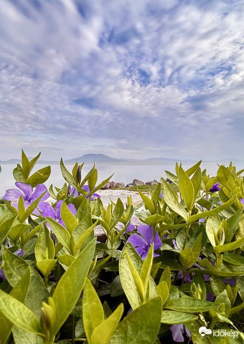 Reggeli fátyolos felhőjáték 