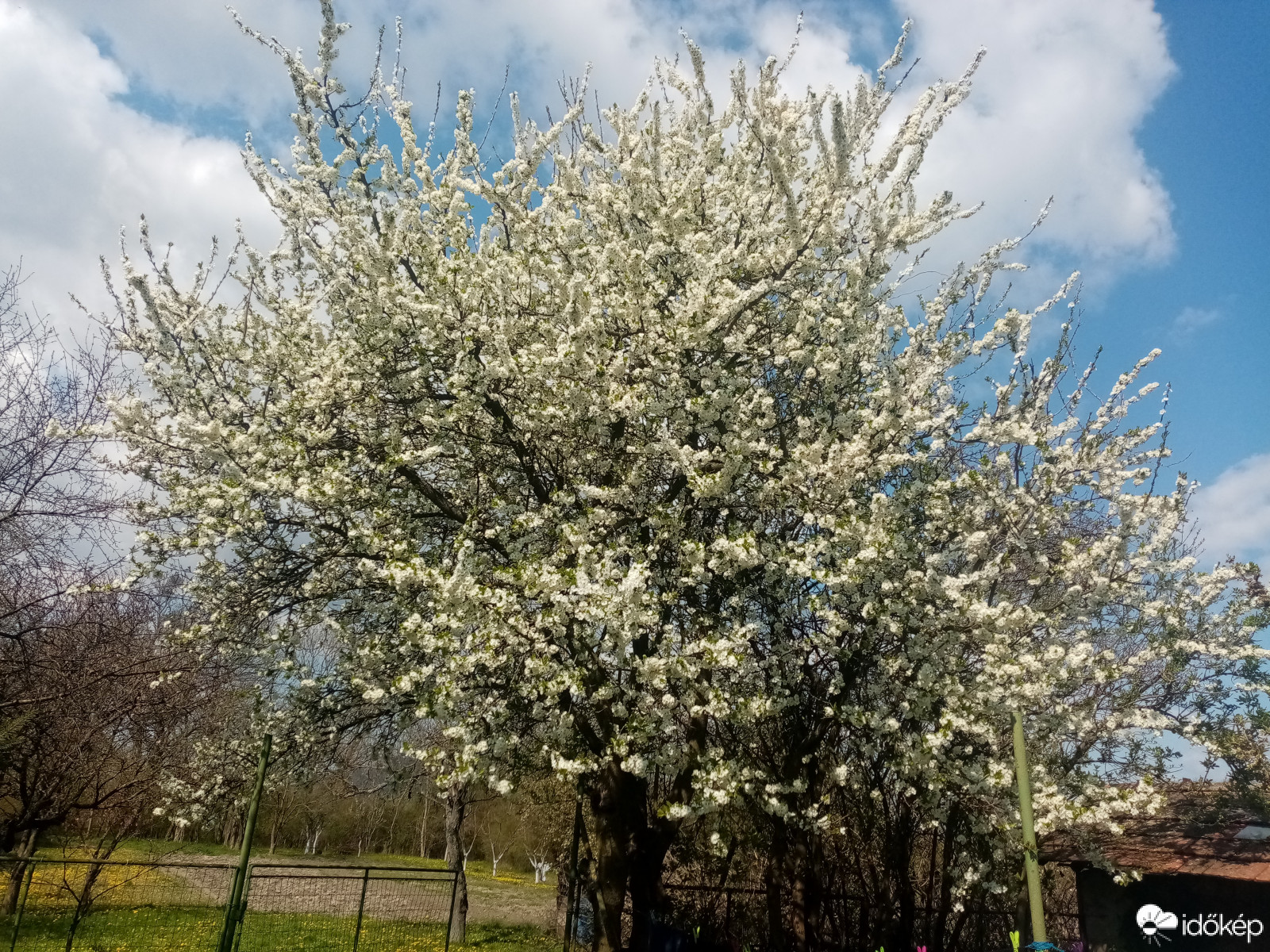 Észlelési fényképek