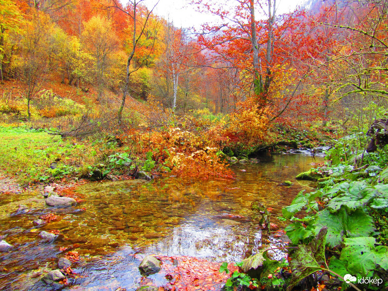 Románia Boga-völgye