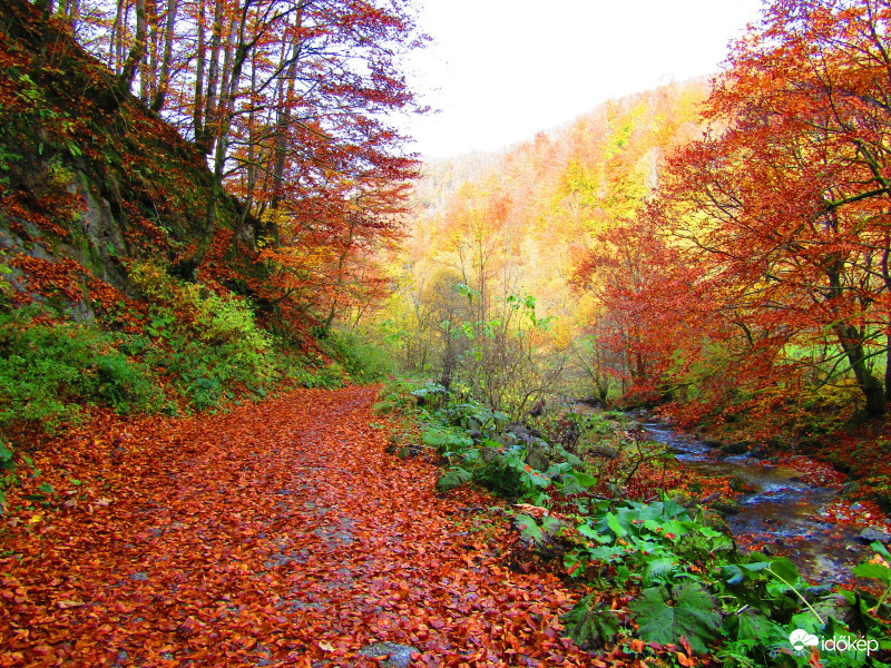 Románia Boga-völgye