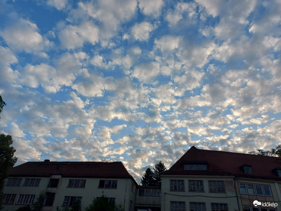 Partenstein