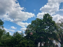 Lohr am Main