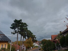 Waldzell