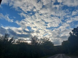 Wombach