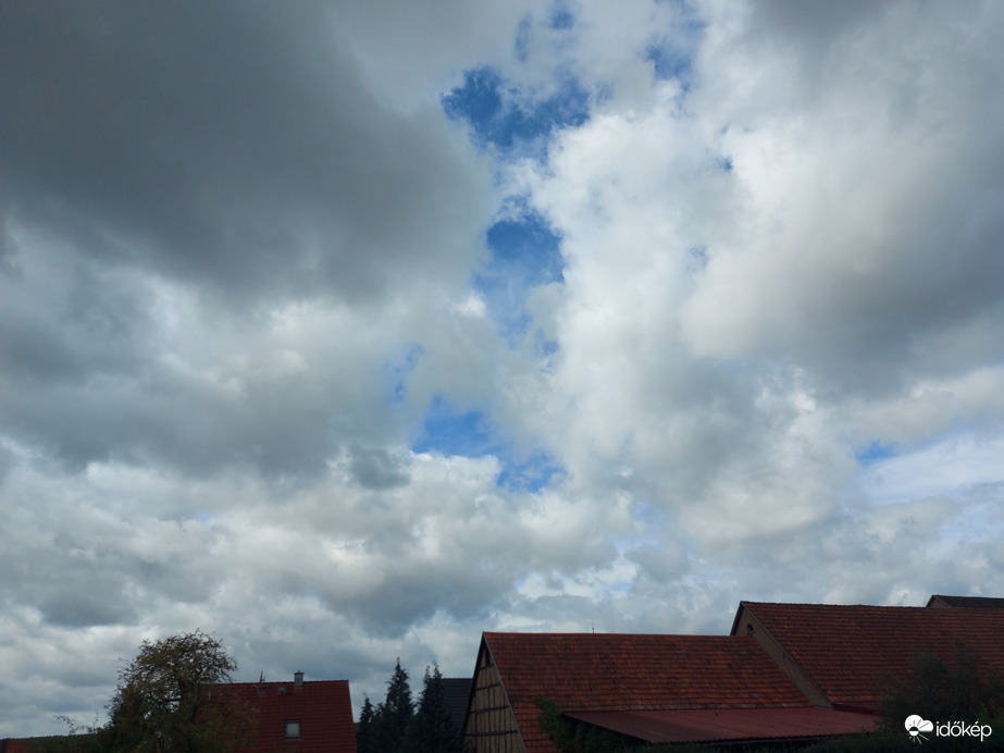 Waldzell