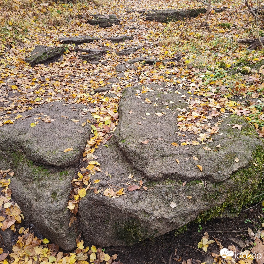 Balatonfűzfő