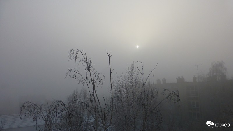 Ködös reggel
