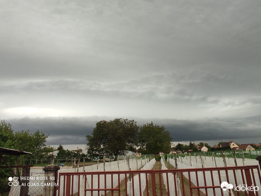 Észlelési fényképek