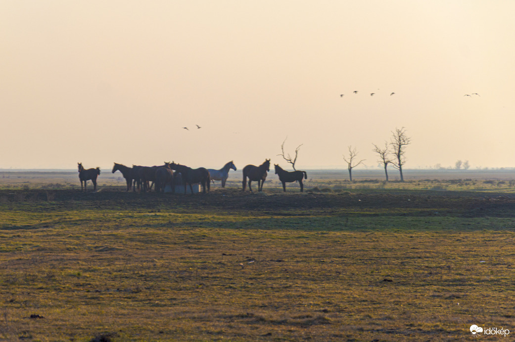 Éledő Nemzeti Park
