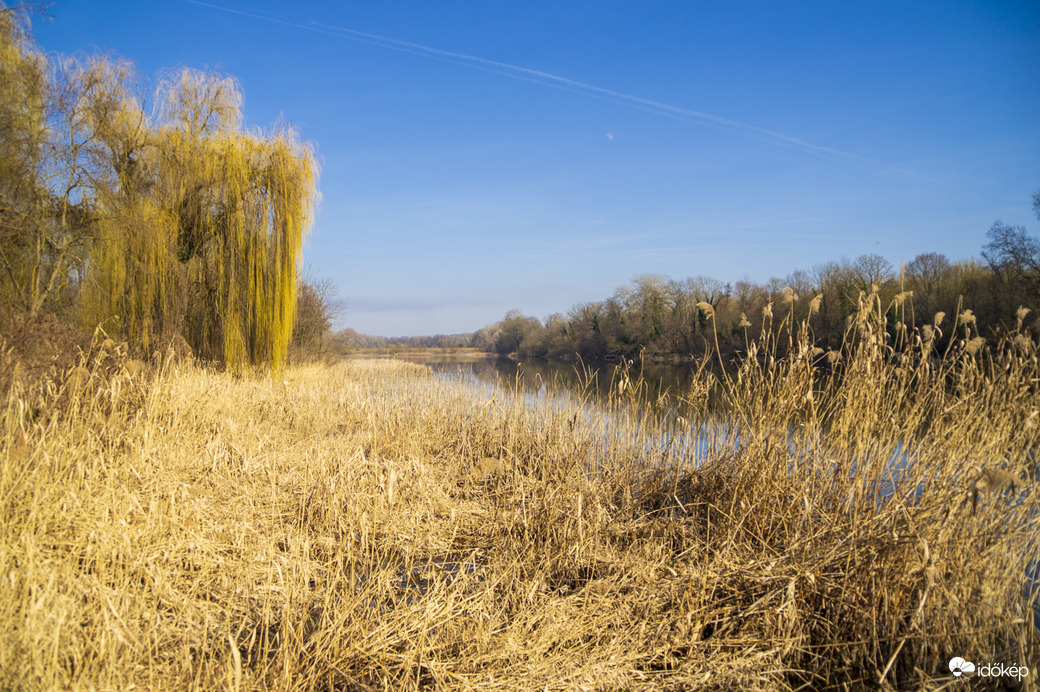 Tisza holtág