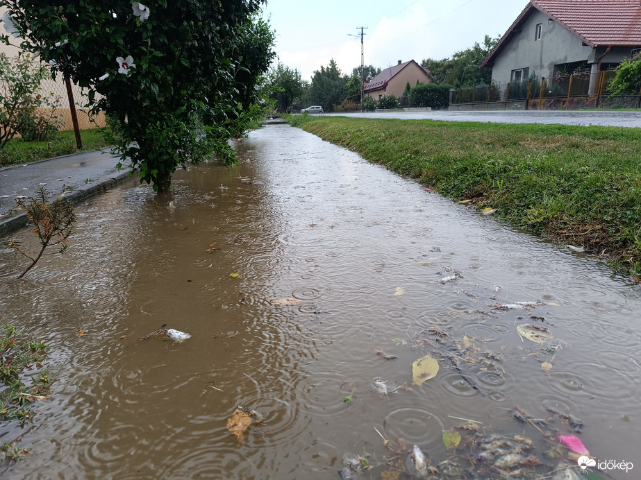 És íme az eredménye a felhőszakadásnak ! 