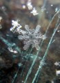 A leggyakoribb kristály a mai havazáson