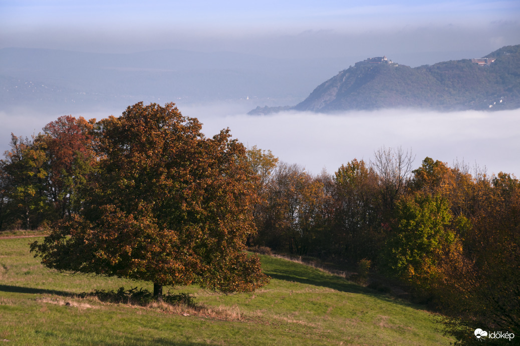 Őszi környezet a Kecskehát-réten, háttérben a ködből kiemelkedő Visegrádi Fellegvárral. 