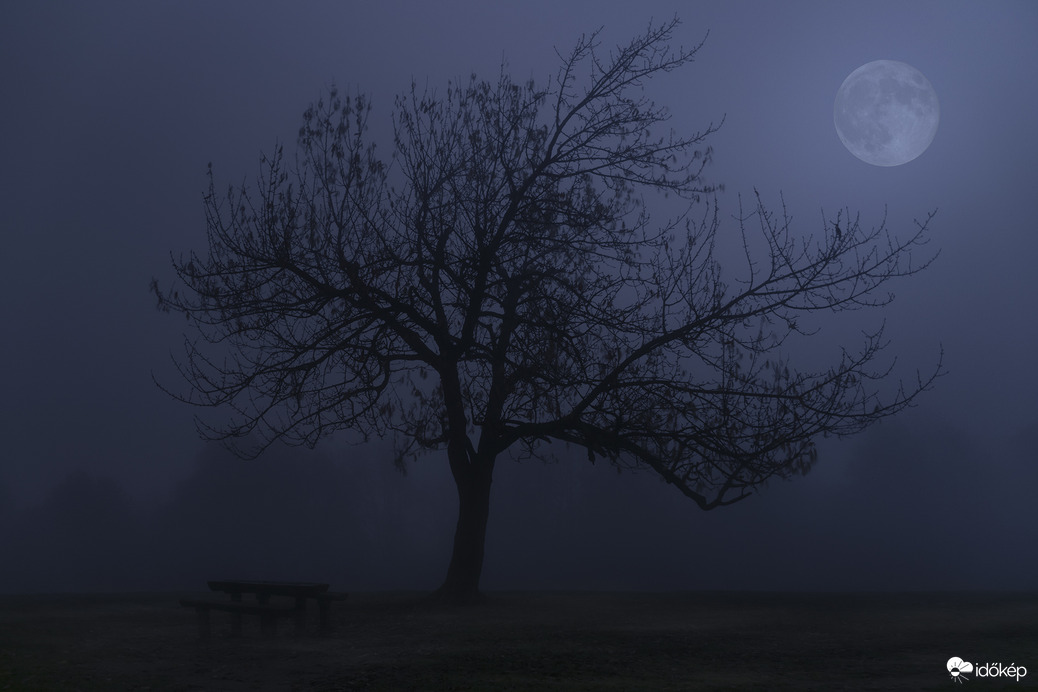 Misztikus éjszaka a ködrétegen keresztül világító Teliholddal Normafán.