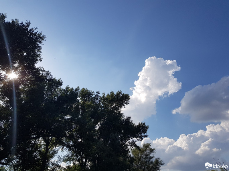 Észlelési fényképek