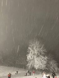 Budapest XII.ker - Normafa